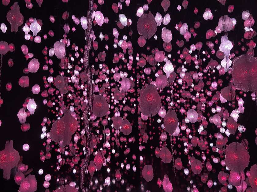 "Pipilotti Rist, installation view, Zurich" by MatchArt, 2024